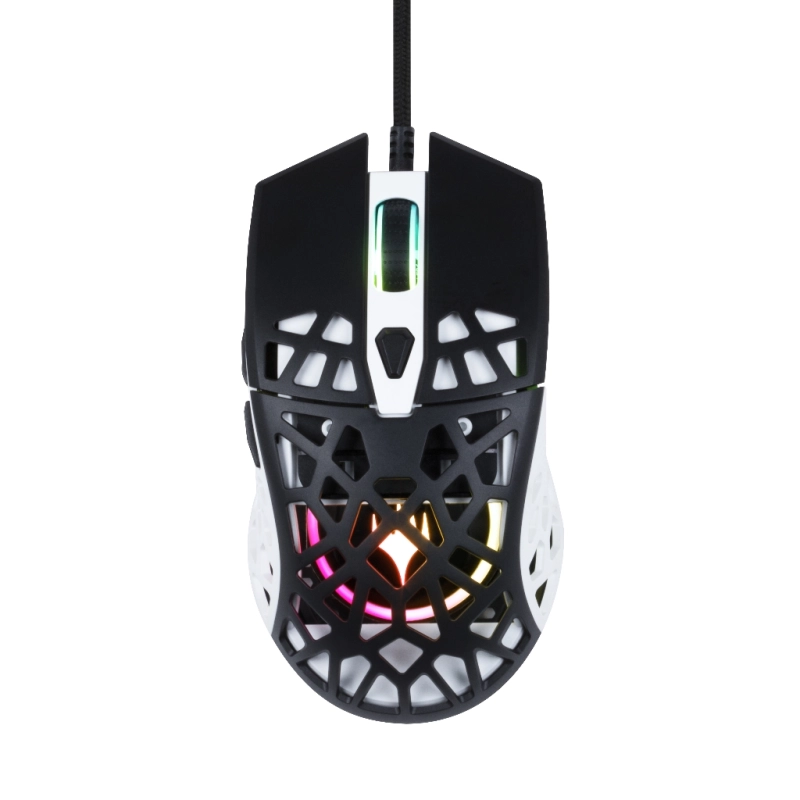 Souris gaming - Dungeons & Dragons